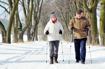 Image depicting Fall Wellness Walks 2026